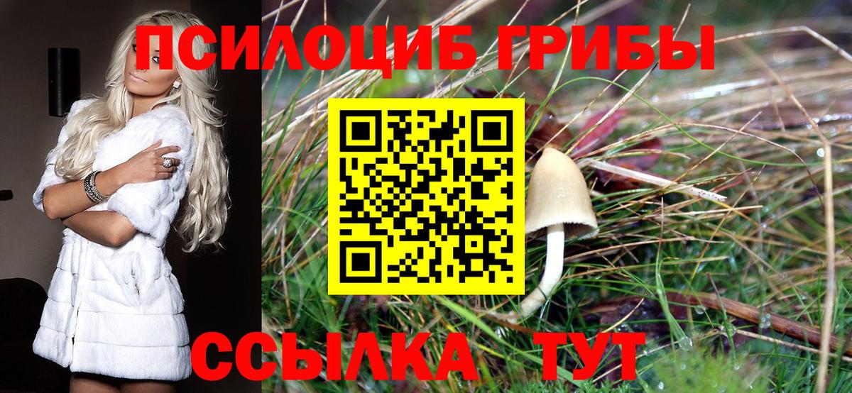 Псилоцибиновые грибы GOLDEN TEACHER Когалым