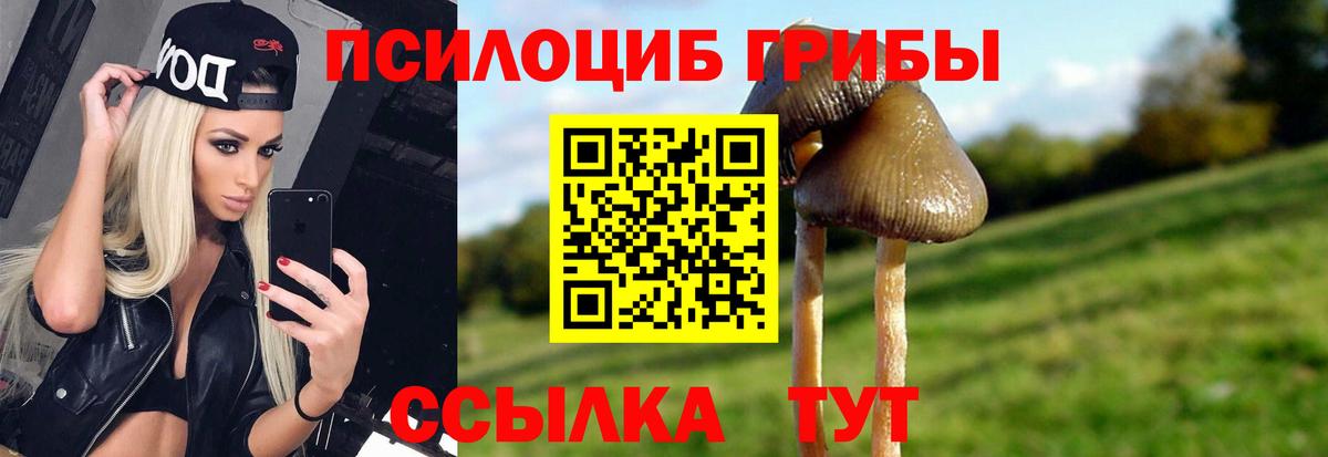 Галлюциногенные грибы MAGIC MUSHROOMS  Вход с VPN  Когалым  Псилоцибиновые грибы GOLDEN TEACHER 